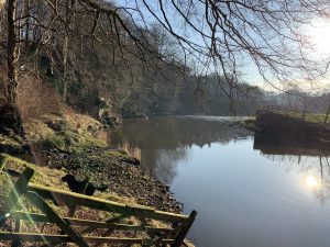 Bowland Forest - Lake