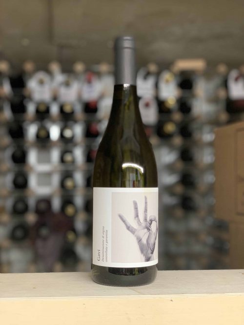 Bottle of Folli & Benato Gavi 2024, Piedmont, Bowland Forest Vintners